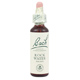 Rock Water Bach Flower Remedy 20ml